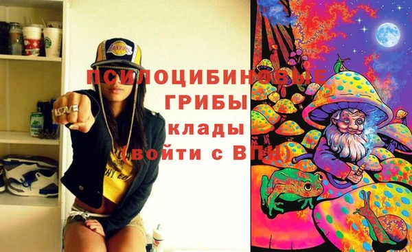дживик Горно-Алтайск