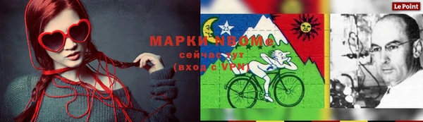 гидра Горнозаводск