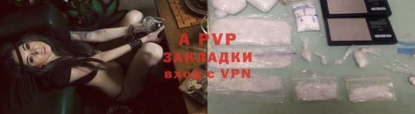 гидра Горнозаводск