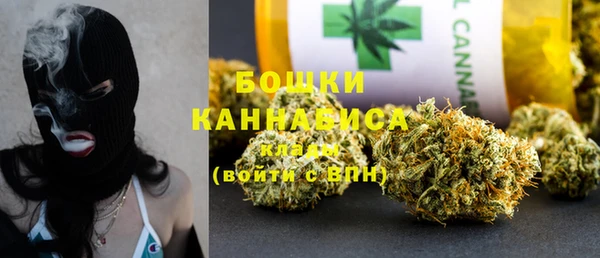 гидра Горнозаводск